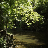 Minolta SR/MC/MD Lens To Leica M Body (Techart Pro LM-EA7) Adapt - Thumbnail 3