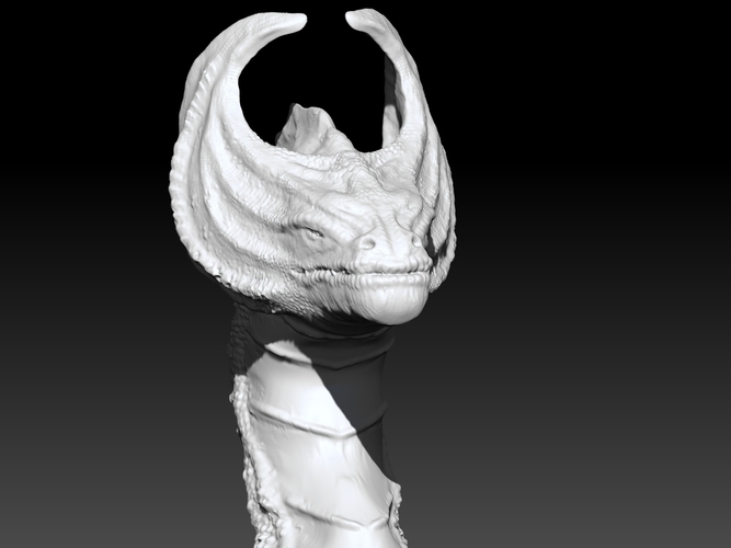 Dragon Head 3D Print 101625