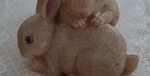 Image 101694