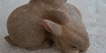 Image 101697