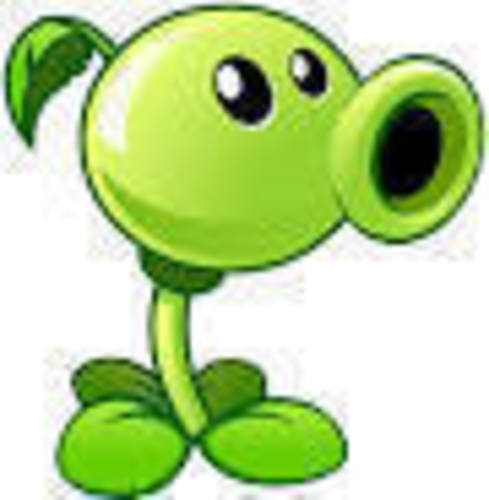 Peashooter