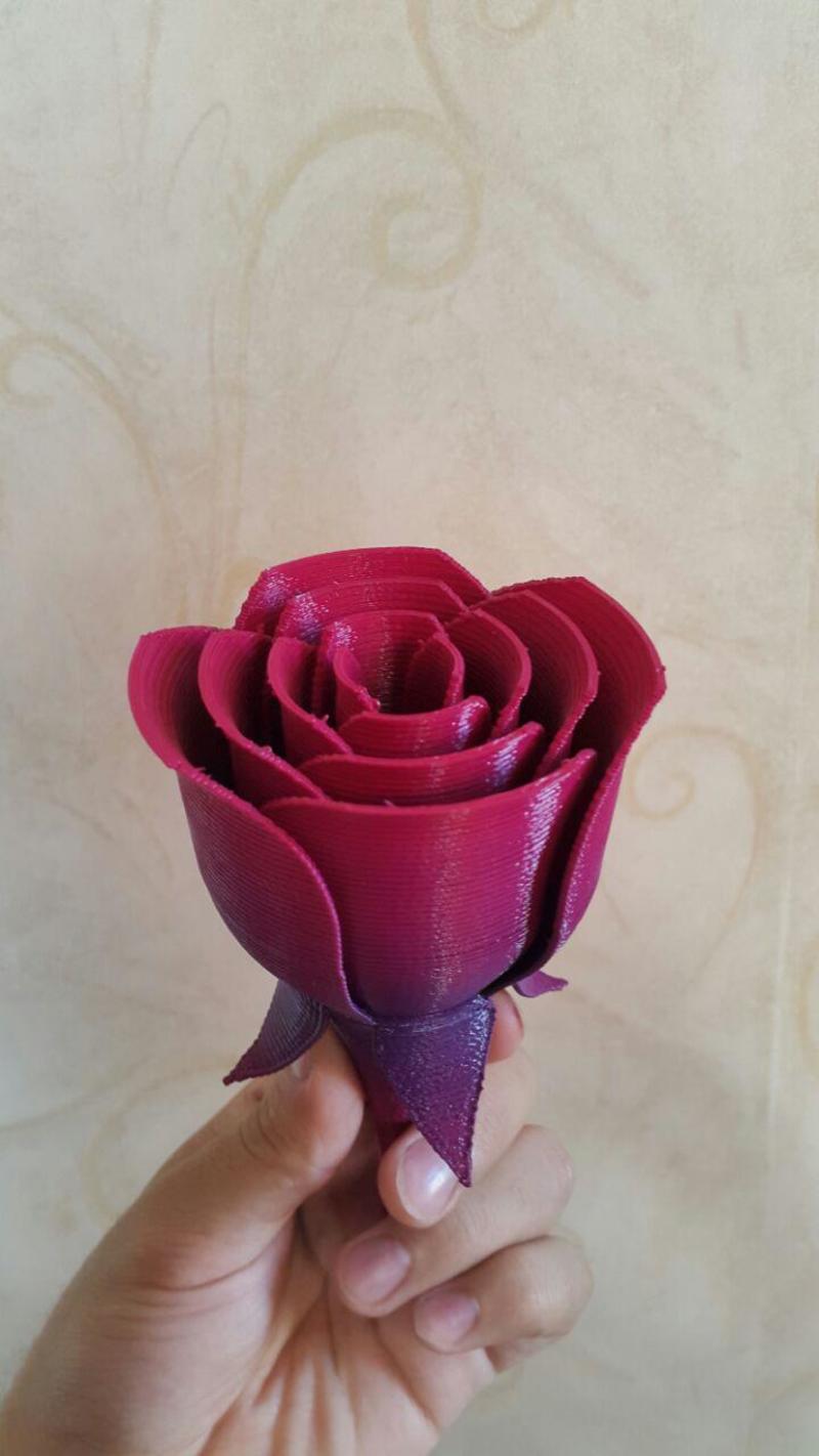 Rose two-piece