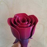 Small Rose two-piece 3D Printing 101896
