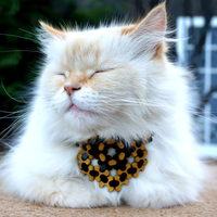 FlexMesh Gift Box - Thumbnail 6