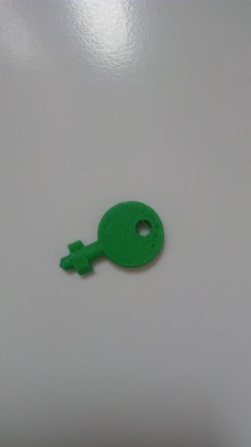 Paper towel dispenser key (Fripa) 3D Print 102719