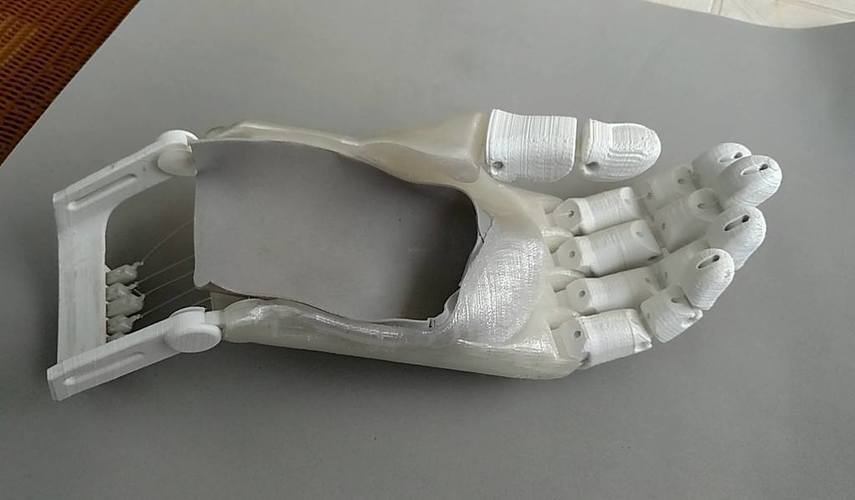 3d Printed Flexy Hand Remix By Rafael Dalla Costa 