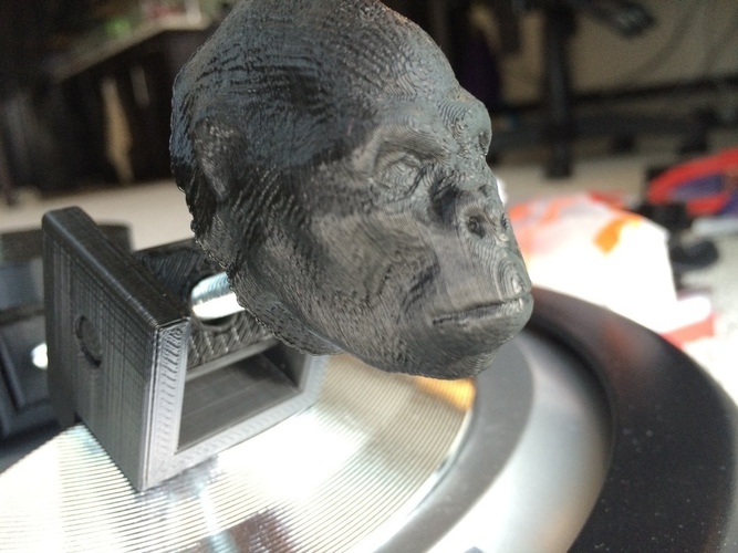 Harambe Head (Gorilla) 3D Print 103446