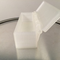 Small Western Blot Hinged Box 3D Printing 103486