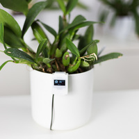 10$ wifi temperature/humidity/luminosity sensors - Thumbnail 3