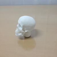gear lever skull - Thumbnail 3
