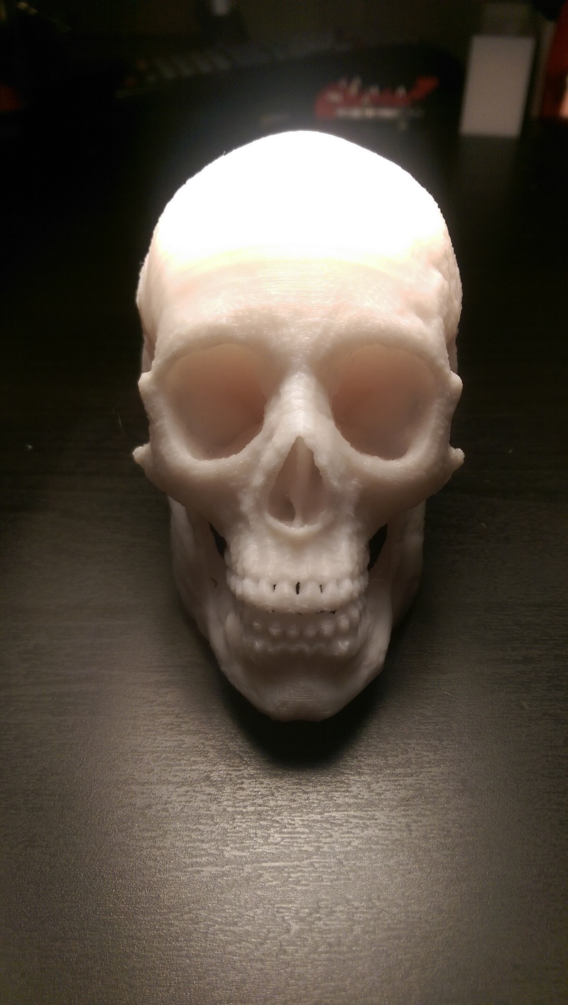 MakerBot Human Skull