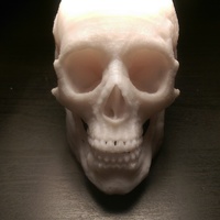 Small MakerBot Human Skull 3D Printing 103921