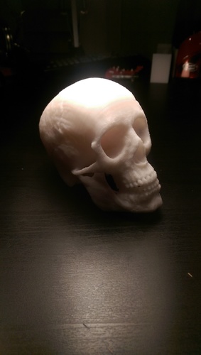 MakerBot Human Skull 3D Print 103922