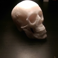 MakerBot Human Skull - Thumbnail 2