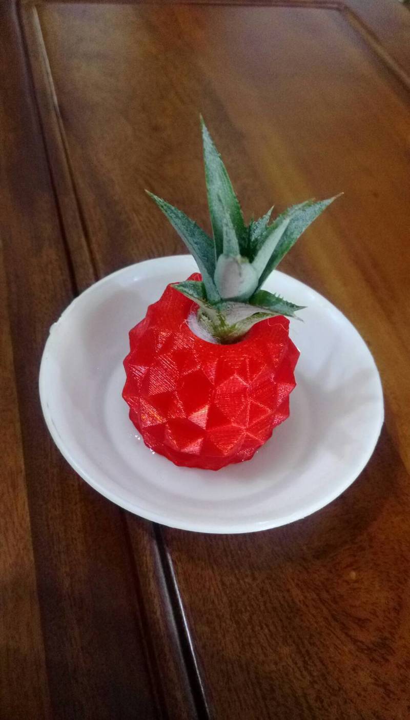 Pineapple flower pot