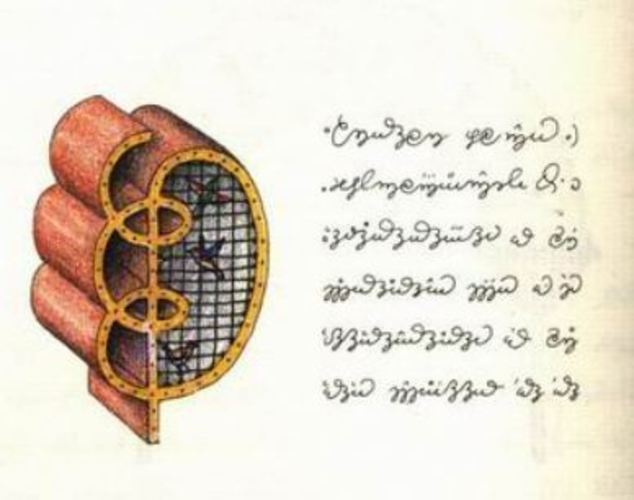 Bird cage design_codex seraphinianus