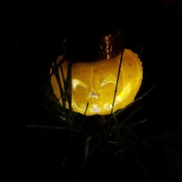 Solar Light Jack-O Lantern - Thumbnail 5