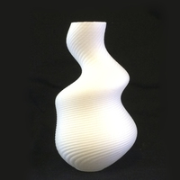 Small Irregular spiral vase 3D Printing 104663