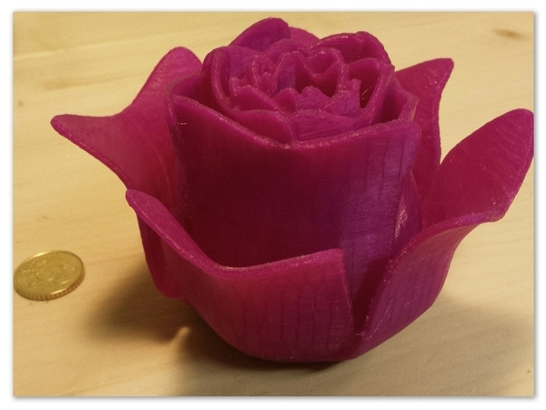 Medium Open Rose 3D Printing 104949