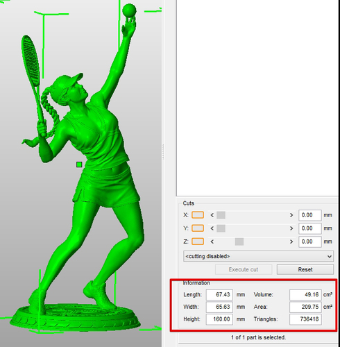 Girl player in Tennis 3D Print 105823