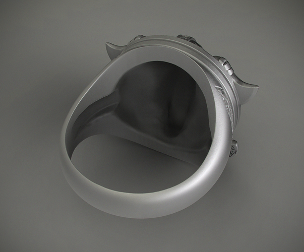 Ring Viking 3D Print 106236