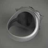 Ring Viking - Thumbnail 6