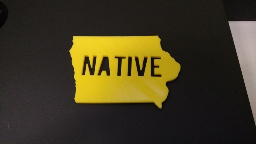 Iowa Native 3D Print 106804