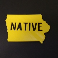 Small Iowa Native 3D Printing 106804
