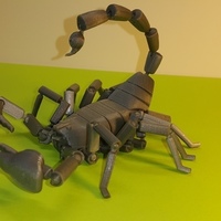 Small Scorpion - Scorpio- 3D Printing 107216
