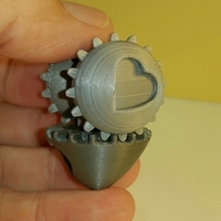 Coeur Leonardo - Cuore Leonardo - Thumbnail 2