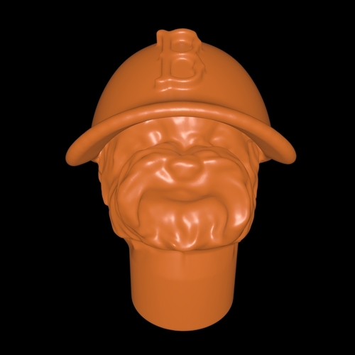 Boston Bailey, Professional  Bottle Guard 3D Print 107586