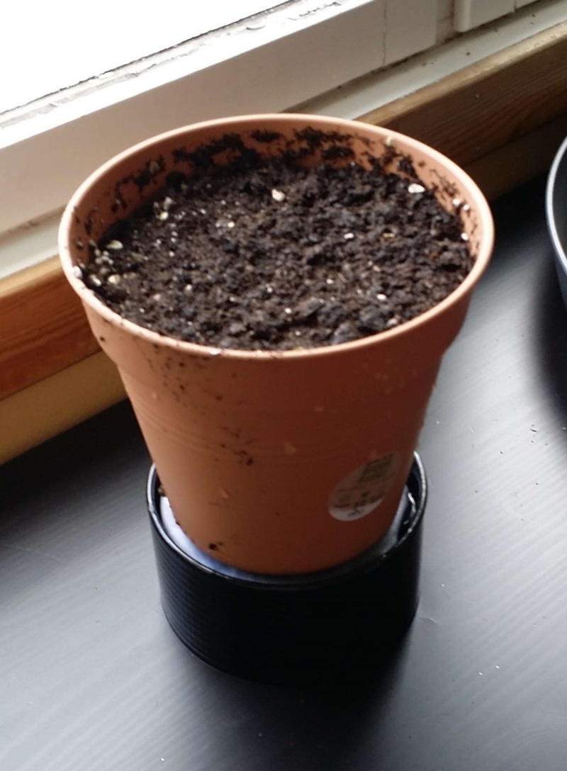 Self Watering plant pot holder