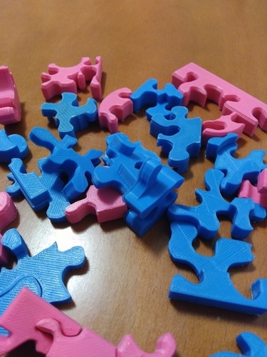 Sara Puzzle 3D Print 108666