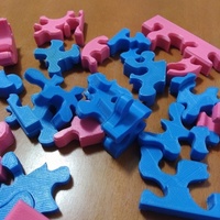 Small Sara Puzzle 3D Printing 108666
