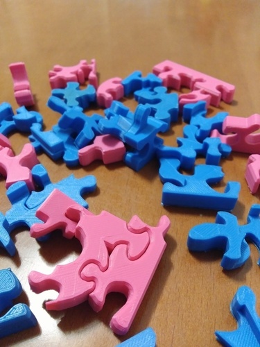 Sara Puzzle 3D Print 108667