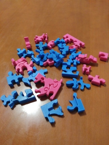 Sara Puzzle 3D Print 108668
