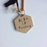 Small OLBA 3D Printing Keychain 3D Printing 108845