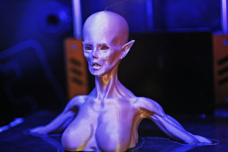 Zombie Queen Bust 3D Print 108939