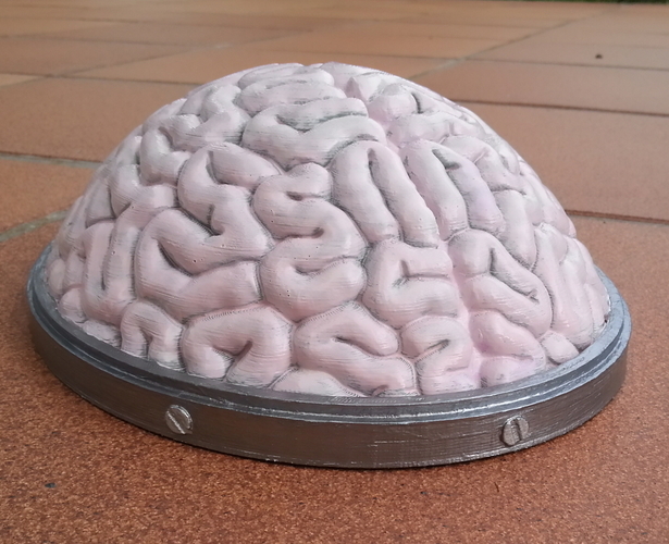 Brain Hat 3D Print 108940