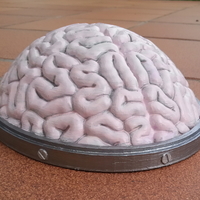 Small Brain Hat 3D Printing 108940