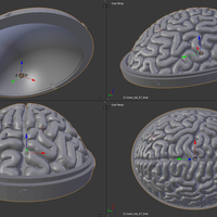 Brain Hat - Thumbnail 4
