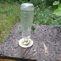 Waterhole for bee - Thumbnail 3