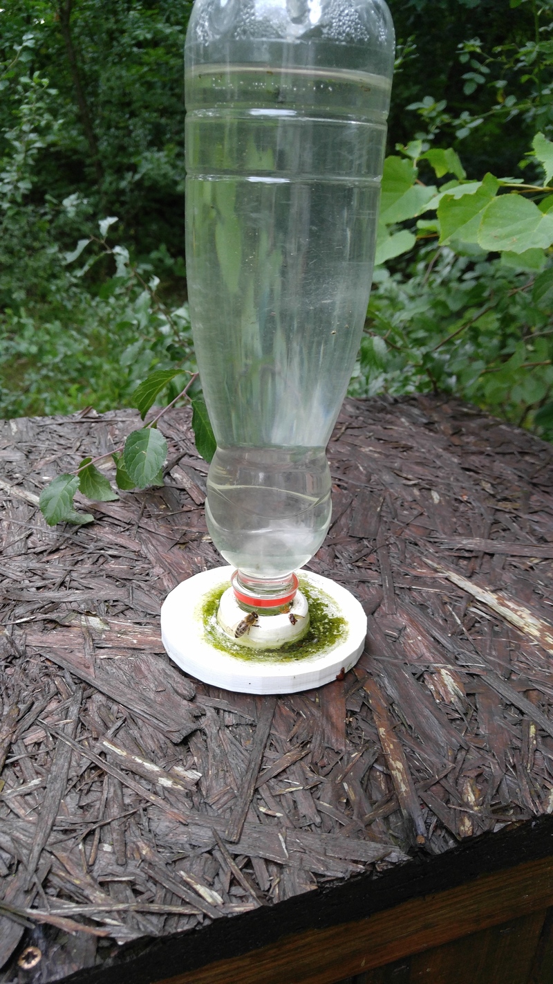Waterhole for bee