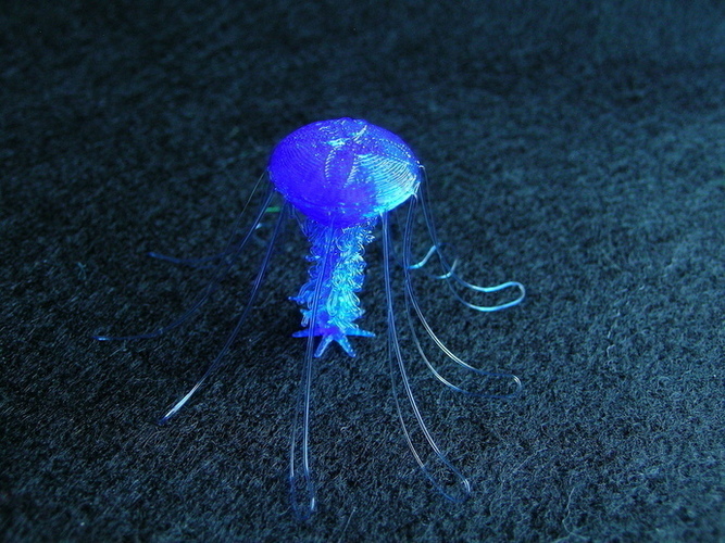 Jellyfish customizable - drooloops 3D Print 109176