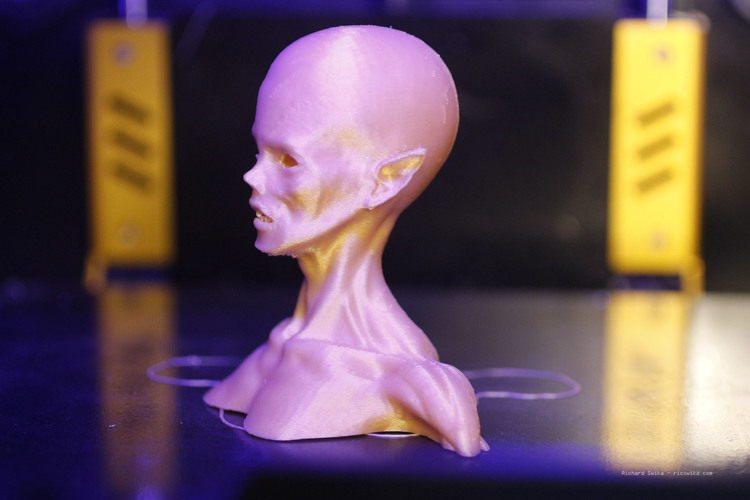 Zombie Queen Bust 3D Print 109294
