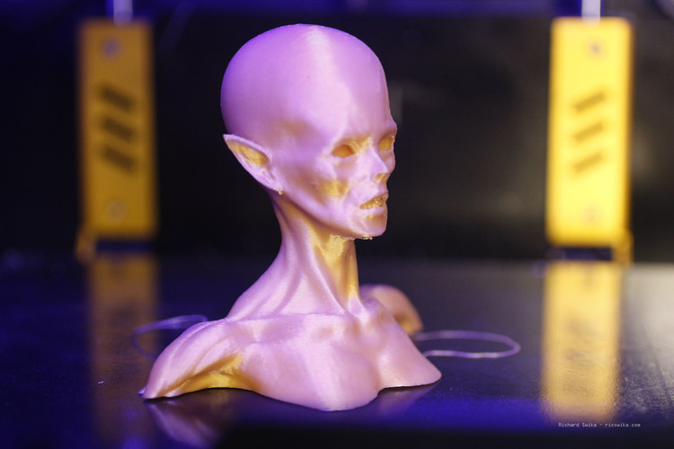 Zombie Queen Bust 3D Print 109297