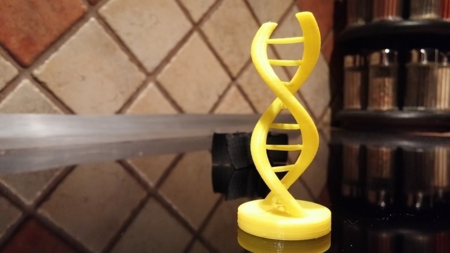 DNA 3D Print 110074