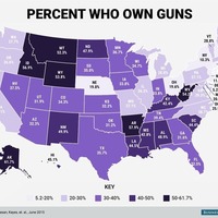 United States by Gun Ownership - Thumbnail 2