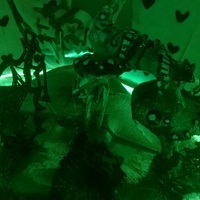 Wonderland - Thumbnail 12