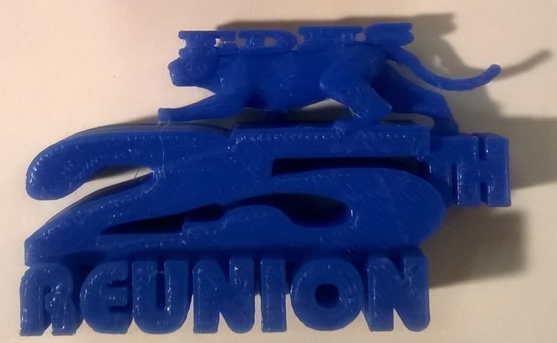 EDHS 25th Reunion Keepsake 3D Print 110904